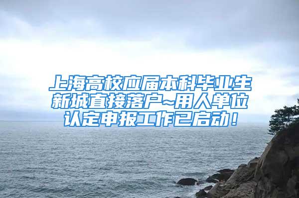 上海高校应届本科毕业生新城直接落户~用人单位认定申报工作已启动！