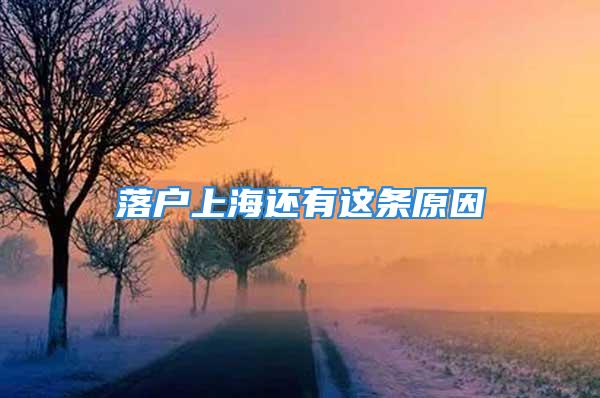 落户上海还有这条原因