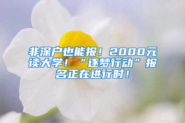 非深户也能报！2000元读大学！“逐梦行动”报名正在进行时！