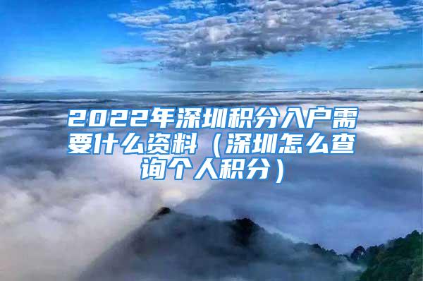 2022年深圳积分入户需要什么资料（深圳怎么查询个人积分）