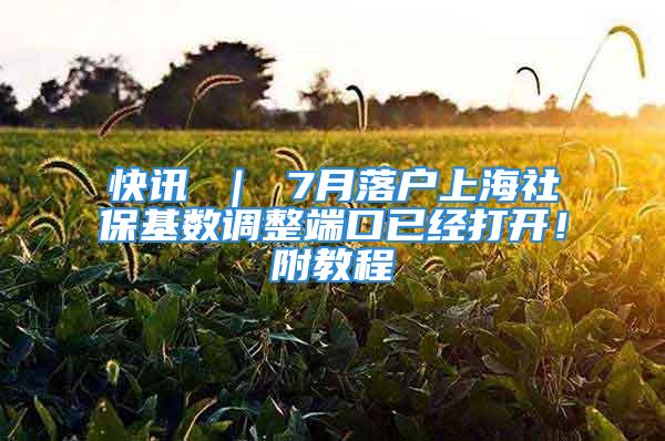 快讯 ｜ 7月落户上海社保基数调整端口已经打开！附教程