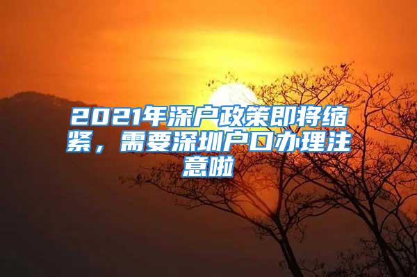 2021年深户政策即将缩紧，需要深圳户口办理注意啦