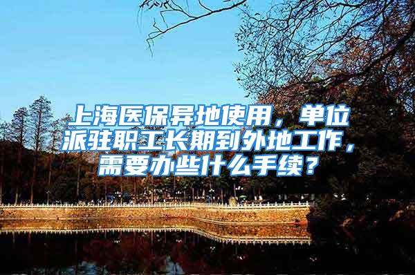 上海医保异地使用，单位派驻职工长期到外地工作，需要办些什么手续？