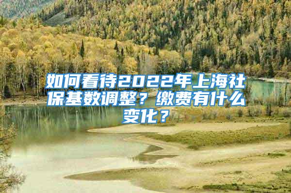 如何看待2022年上海社保基数调整？缴费有什么变化？