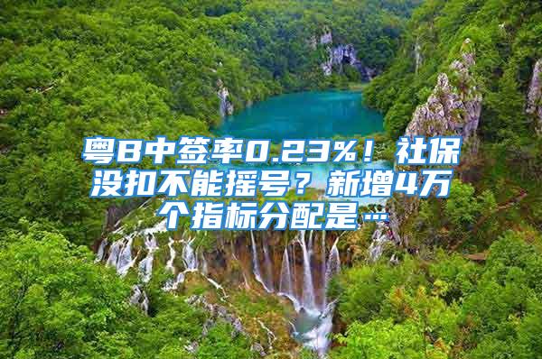 粤B中签率0.23%！社保没扣不能摇号？新增4万个指标分配是…