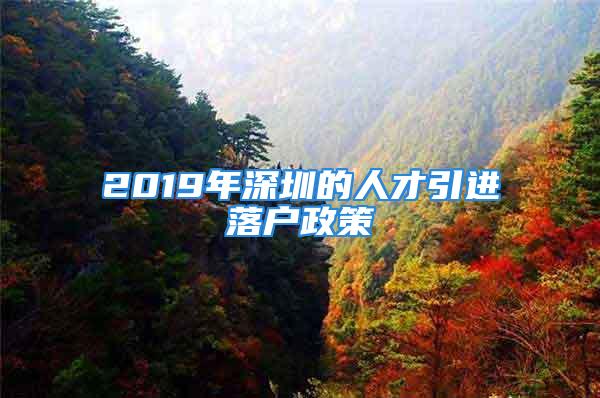 2019年深圳的人才引进落户政策