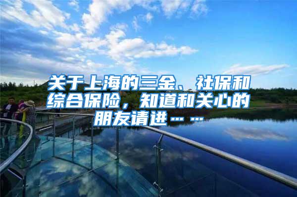 关于上海的三金、社保和综合保险，知道和关心的朋友请进……