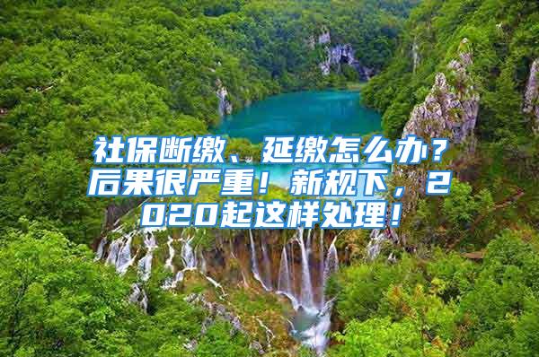 社保断缴、延缴怎么办？后果很严重！新规下，2020起这样处理！