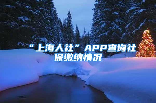 “上海人社”APP查询社保缴纳情况