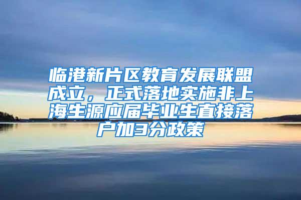 临港新片区教育发展联盟成立，正式落地实施非上海生源应届毕业生直接落户加3分政策