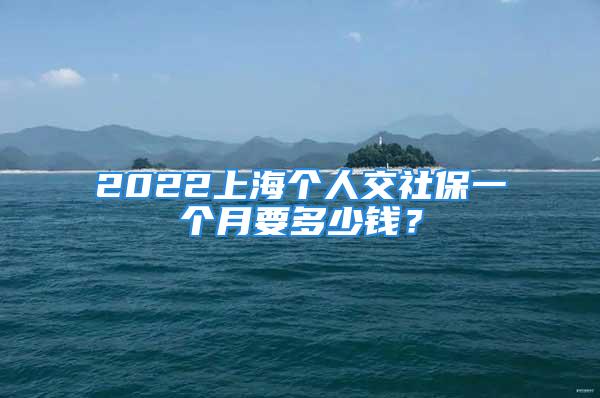 2022上海个人交社保一个月要多少钱？