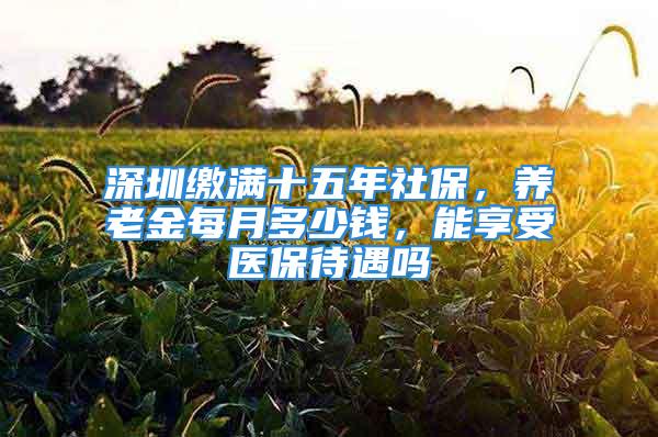 深圳缴满十五年社保，养老金每月多少钱，能享受医保待遇吗