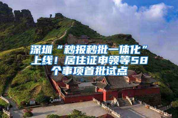 深圳“秒报秒批一体化”上线！居住证申领等58个事项首批试点