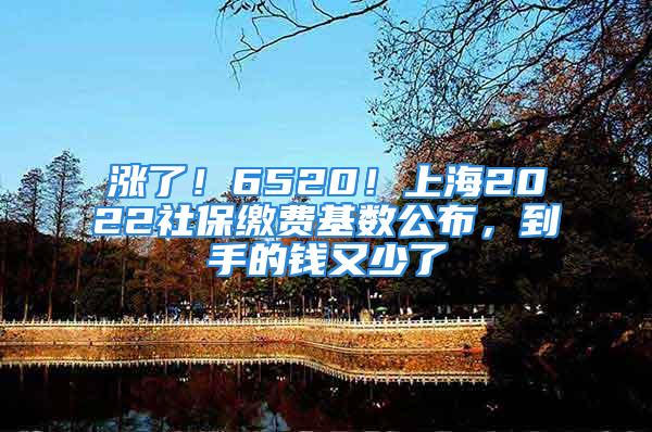 涨了！6520！上海2022社保缴费基数公布，到手的钱又少了