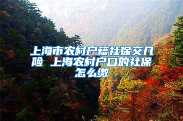 上海市农村户籍社保交几险 上海农村户口的社保怎么缴