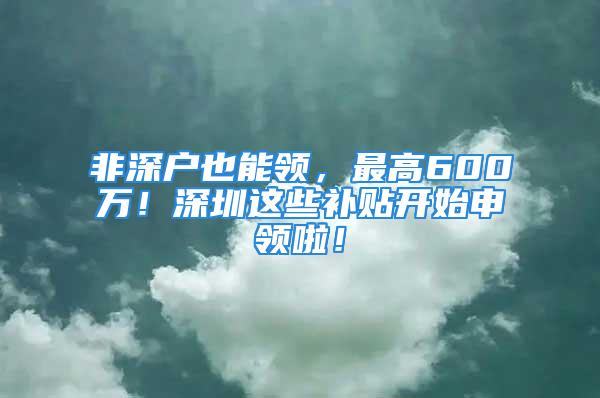 非深户也能领，最高600万！深圳这些补贴开始申领啦！