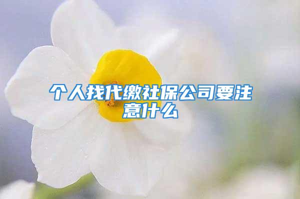 个人找代缴社保公司要注意什么