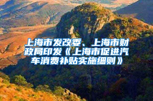 上海市发改委、上海市财政局印发《上海市促进汽车消费补贴实施细则》