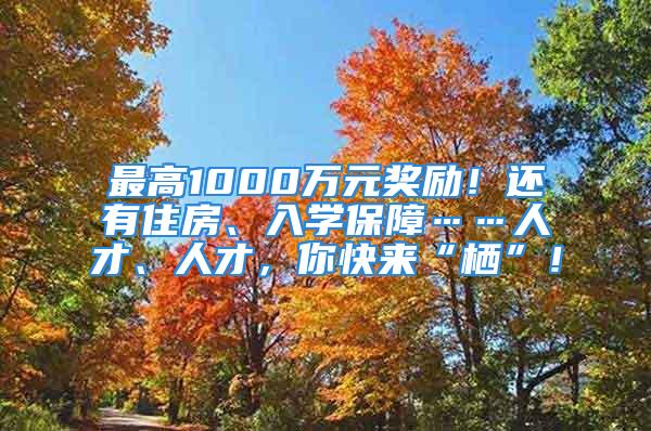 最高1000万元奖励！还有住房、入学保障……人才、人才，你快来“栖”！