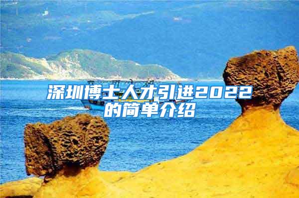 深圳博士人才引进2022的简单介绍