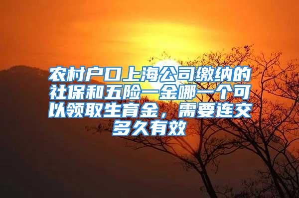 农村户口上海公司缴纳的社保和五险一金哪一个可以领取生育金，需要连交多久有效