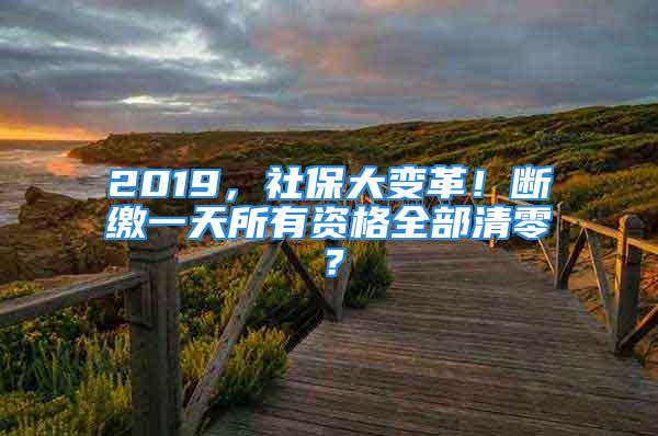 2019，社保大变革！断缴一天所有资格全部清零？