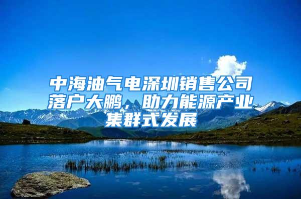 中海油气电深圳销售公司落户大鹏，助力能源产业集群式发展