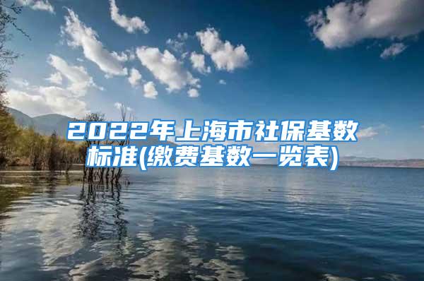 2022年上海市社保基数标准(缴费基数一览表)