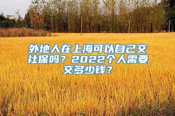 外地人在上海可以自己交社保吗？2022个人需要交多少钱？