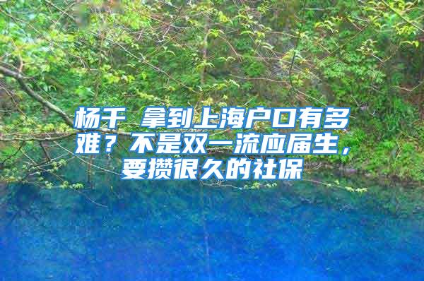 杨千嬅拿到上海户口有多难？不是双一流应届生，要攒很久的社保