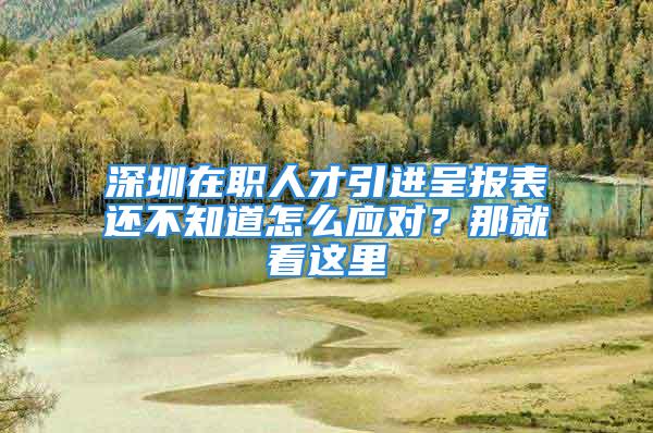 深圳在职人才引进呈报表还不知道怎么应对？那就看这里