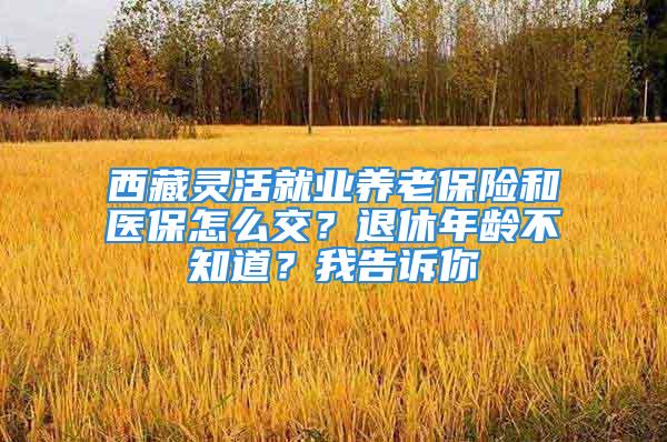 西藏灵活就业养老保险和医保怎么交？退休年龄不知道？我告诉你