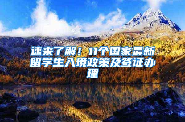 速来了解！11个国家最新留学生入境政策及签证办理