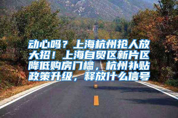 动心吗？上海杭州抢人放大招！上海自贸区新片区降低购房门槛，杭州补贴政策升级，释放什么信号