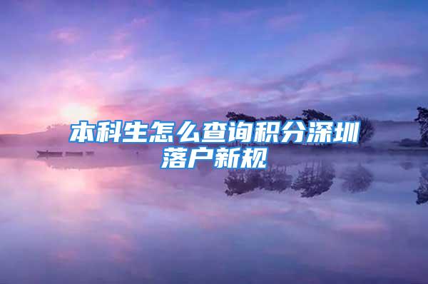 本科生怎么查询积分深圳落户新规