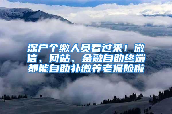 深户个缴人员看过来！微信、网站、金融自助终端都能自助补缴养老保险啦