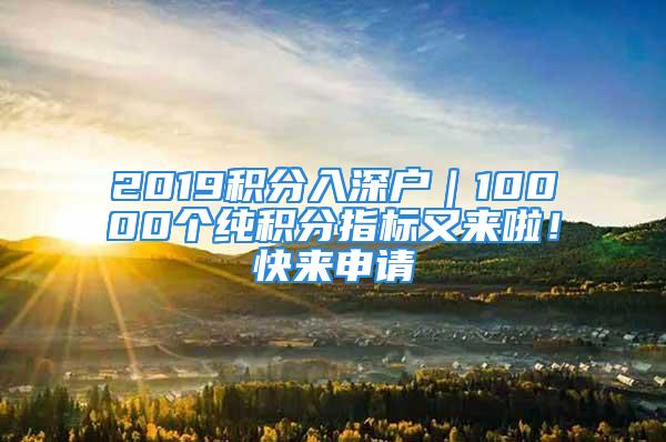 2019积分入深户｜10000个纯积分指标又来啦！快来申请