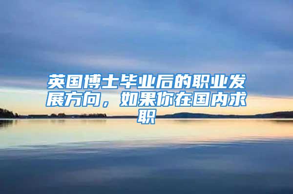 英国博士毕业后的职业发展方向，如果你在国内求职