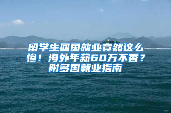 留学生回国就业竟然这么惨！海外年薪60万不香？附多国就业指南