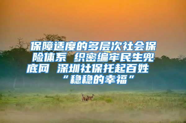 保障适度的多层次社会保险体系 织密编牢民生兜底网 深圳社保托起百姓“稳稳的幸福”