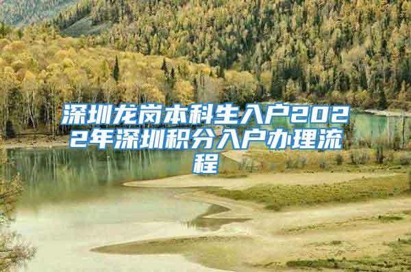 深圳龙岗本科生入户2022年深圳积分入户办理流程