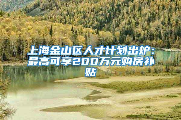 上海金山区人才计划出炉：最高可享200万元购房补贴