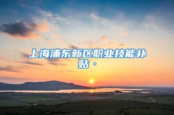 上海浦东新区职业技能补贴·