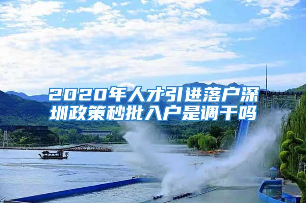 2020年人才引进落户深圳政策秒批入户是调干吗