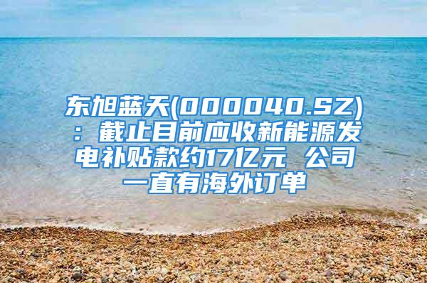 东旭蓝天(000040.SZ)：截止目前应收新能源发电补贴款约17亿元 公司一直有海外订单