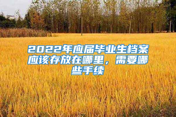 2022年应届毕业生档案应该存放在哪里，需要哪些手续