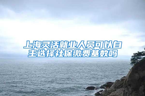 上海灵活就业人员可以自主选择社保缴费基数吗