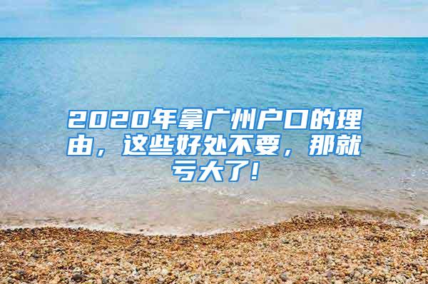 2020年拿广州户口的理由，这些好处不要，那就亏大了!