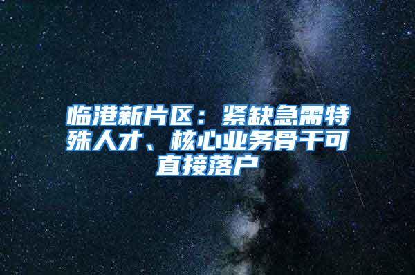 临港新片区：紧缺急需特殊人才、核心业务骨干可直接落户