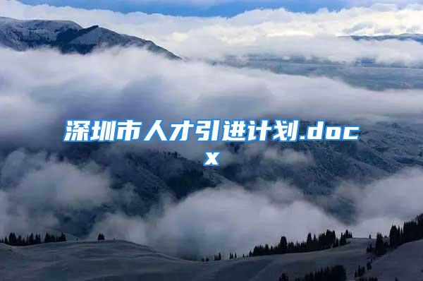 深圳市人才引进计划.docx